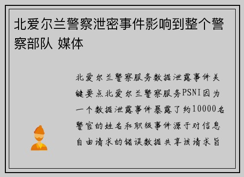 北爱尔兰警察泄密事件影响到整个警察部队 媒体