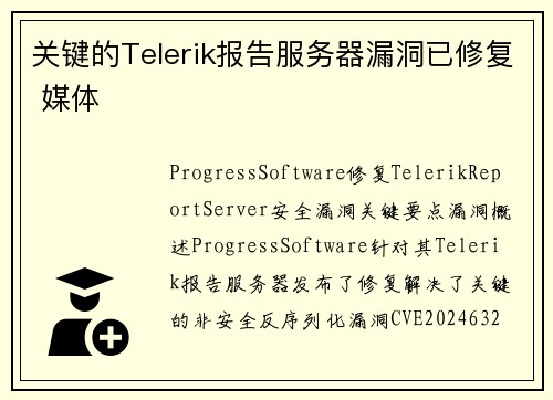关键的Telerik报告服务器漏洞已修复 媒体