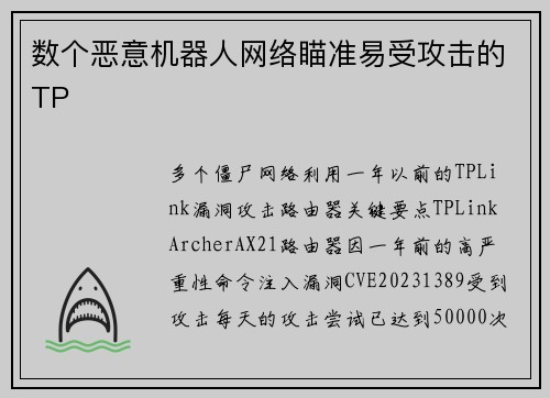 数个恶意机器人网络瞄准易受攻击的TP